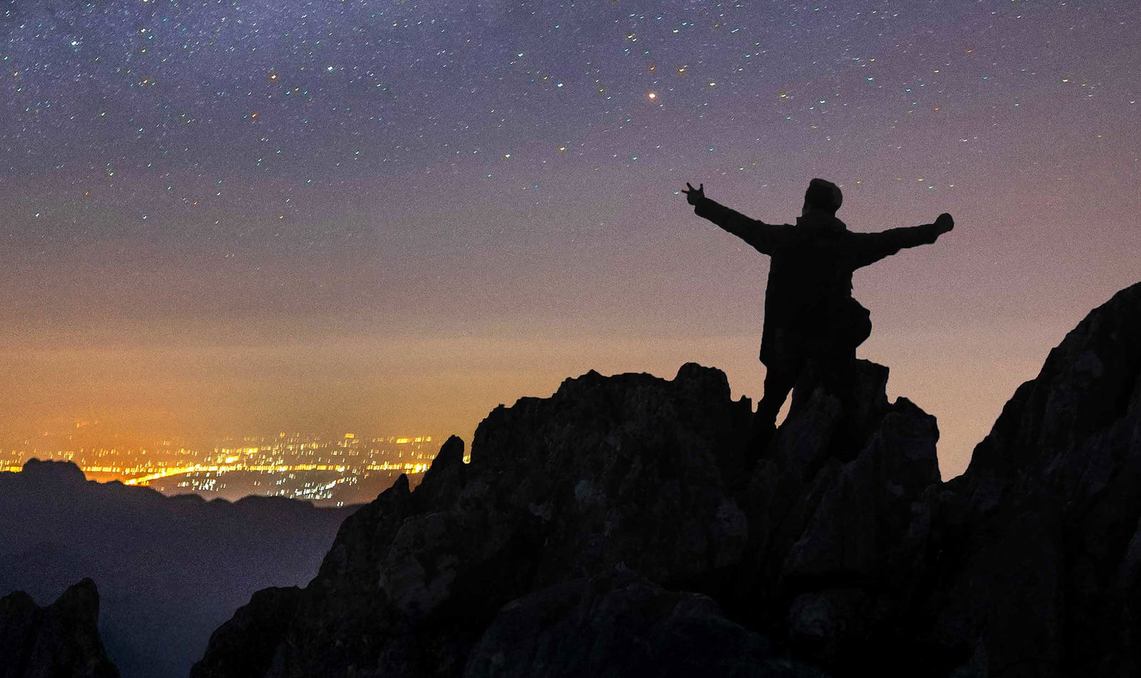 Pearson online learning case study