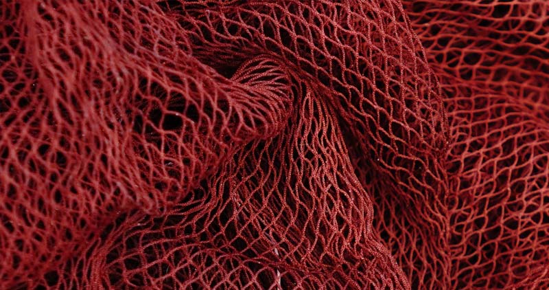 Active Directory Security Assessment