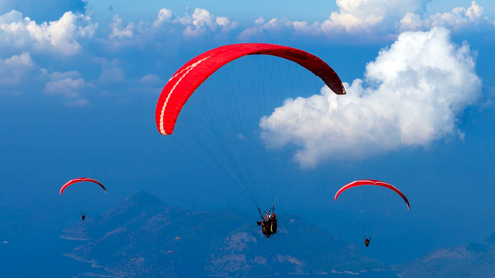 Managed Cloud Services - expert guide