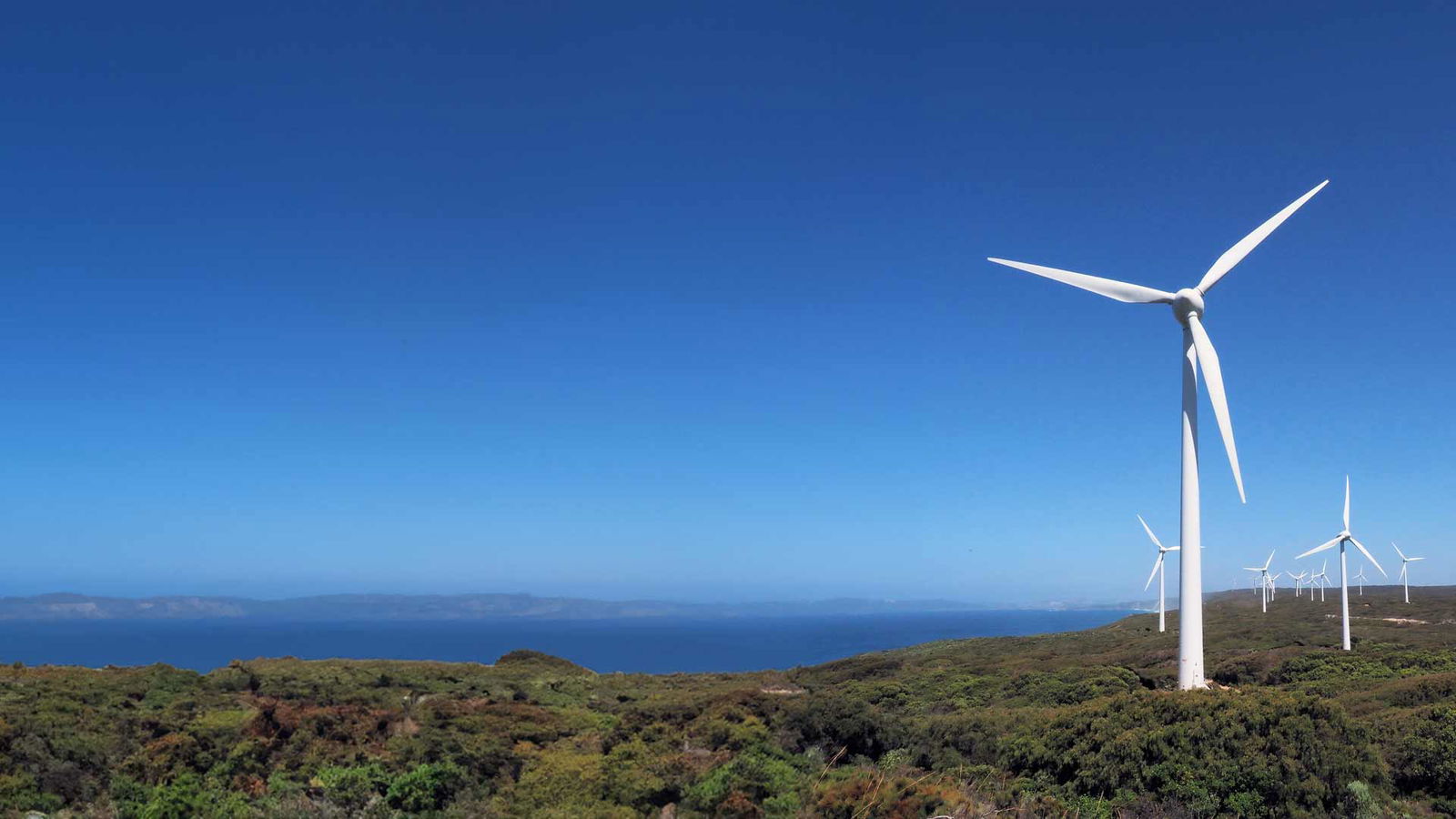 DRAX WIND FARM ENERGY SECTOR AI CASE STUDY