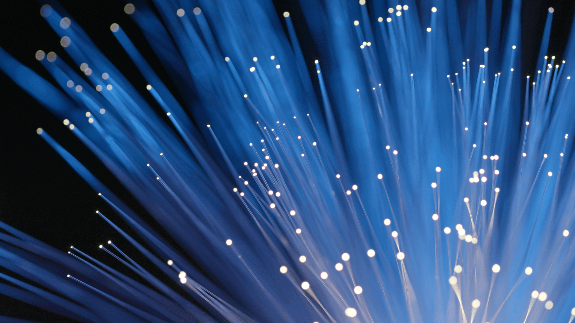 connectivity business wifi surveys hero image - blue fibres