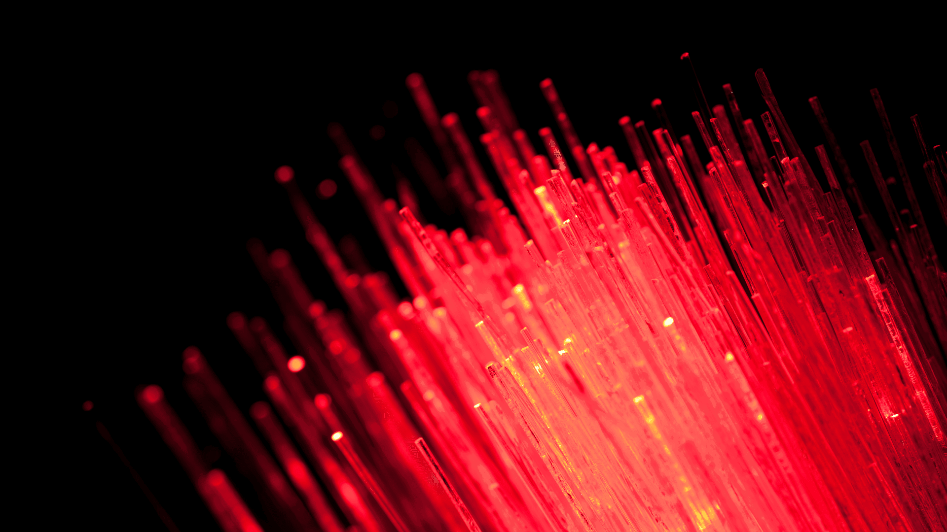 Web Hosting hero image - red fibers