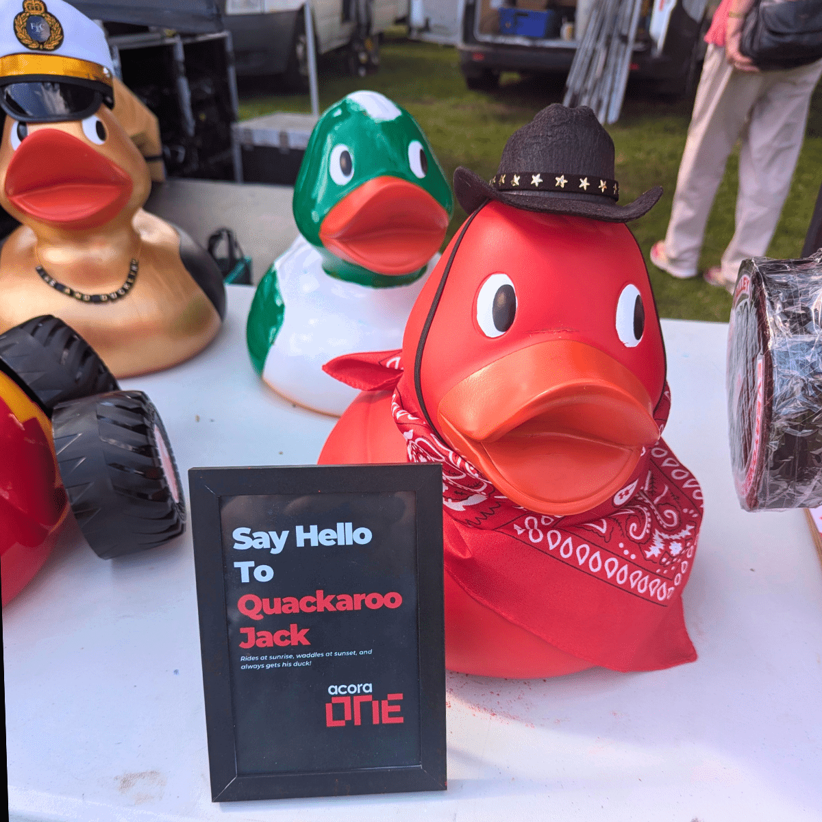 About Us Duck Race Image