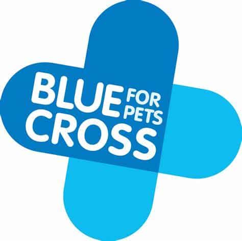 Accomplish More Member - Blue Cross for Pets Logo